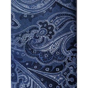 Tasso Elba Men's Cavour Paisley Tie One Size MSRP $60 897/A5